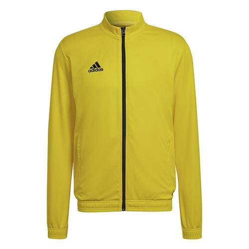  Męskie zimna Adidas Żółte HI2134