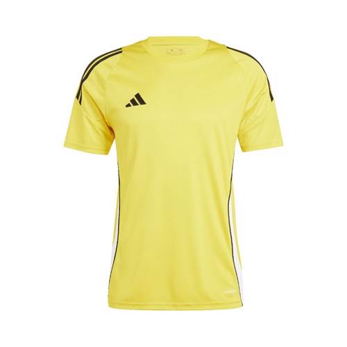  Męskie Adidas Żółte IS1015