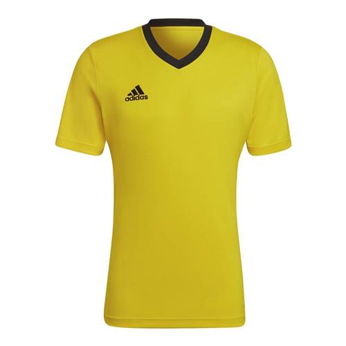  Męskie Adidas Żółte HI2122