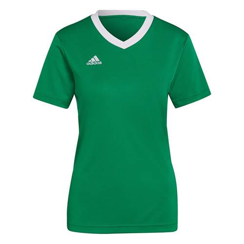  Damskie Adidas Zielone HI2124