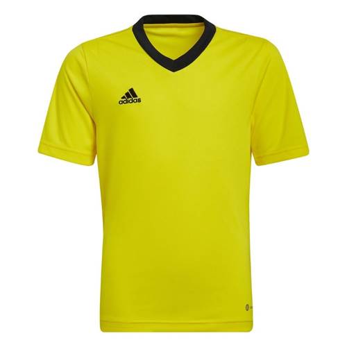  Męskie Adidas Żółte HI2127