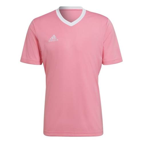  Męskie Adidas Różowe HC5072
