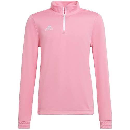  Męskie Adidas Różowe HC5053