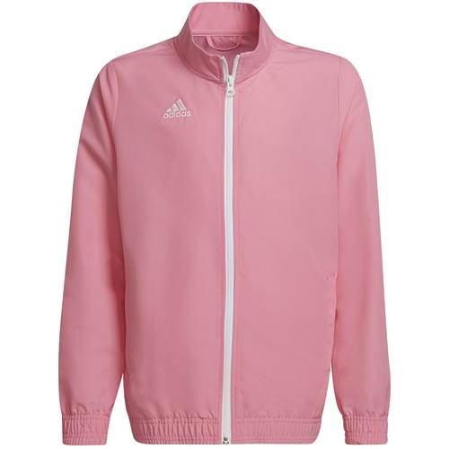   Adidas Różowe HC5037