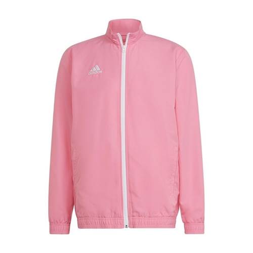  Męskie Adidas Różowe HC5040