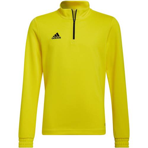  Męskie Adidas Żółte HI2133