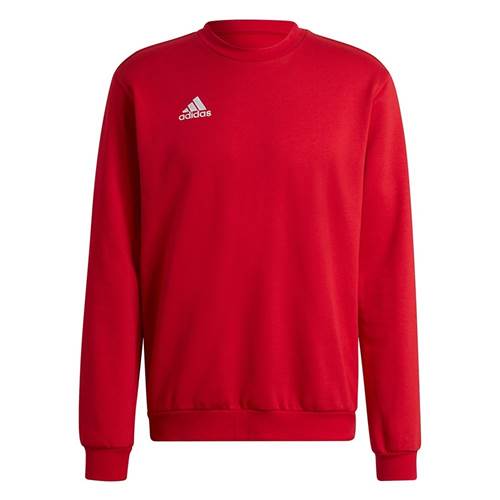  Męskie Adidas Czerwone HB0577