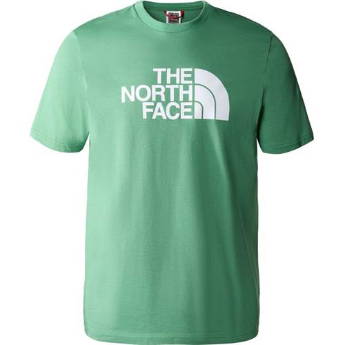  Męskie The North Face Zielone NF0A2TX3N111
