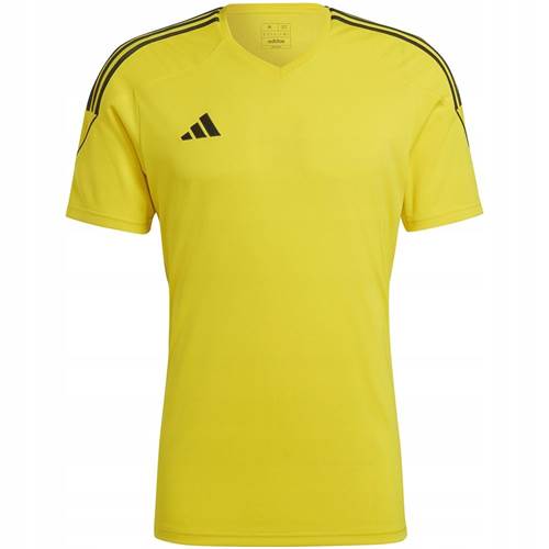  Męskie Adidas Żółte HR4609