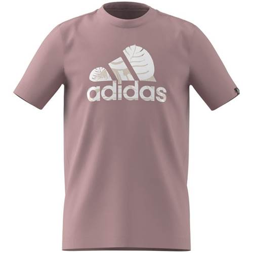  Męskie Adidas Różowe HR8146