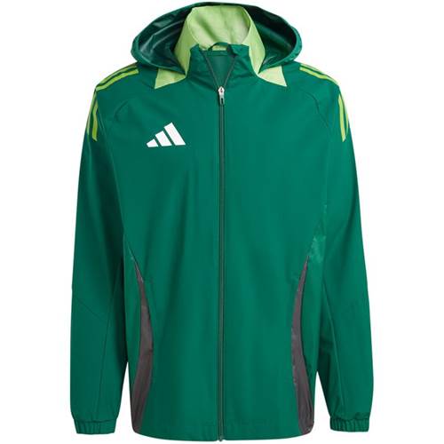  Męskie Adidas Zielone IR9521